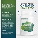 AMBROSIAL - CHELATED IRON PRO 29MG - 120PCS