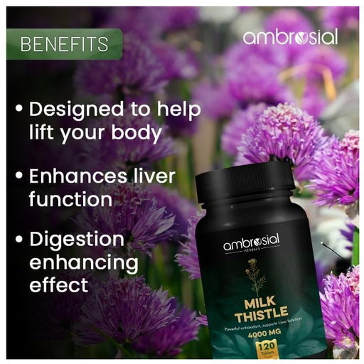 AMBROSIAL - MILK THISTLE EXTRACT 4000MG - 120PCS