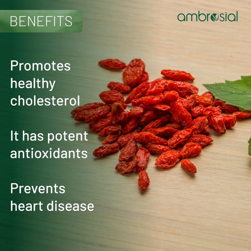 AMBROSIAL - BERBERINE 500MG - 60PCS