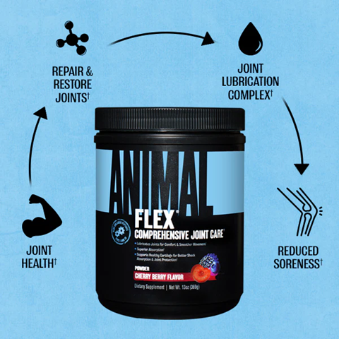 ANIMAL - FLEX POWDER - 381G
