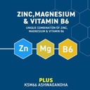 APPLIED NUTRITION - ZMA + B6 - 90PCS