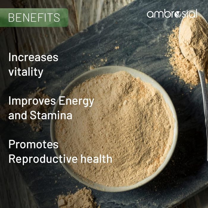 AMBROSIAL - MACA EXTRACT 500MG - 60PCS