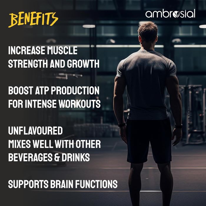 AMBROSIAL - CREATINE MONOHYDRATE - 450G