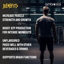 AMBROSIAL - CREATINE MONOHYDRATE - 450G