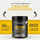 AMBROSIAL - CREATINE MONOHYDRATE - 450G