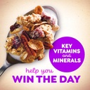 POST - GREAT GRAINS CEREAL - 453G