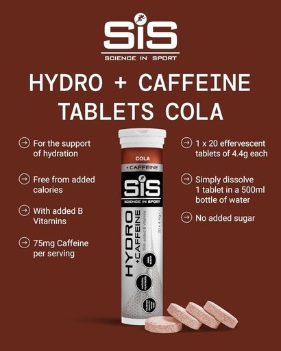 SIS - HYDRO ELECTROLYTE - 20PCS
