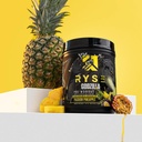 RYSE - PRE WORKOUT GODZILLA - 20-40SER