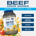 APPLIED NUTRITON - BEEF MASS GAINER - 3KG