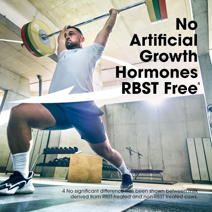 OPTIMUM NUTRITION - GOLD STANDARD RTD - 325ML