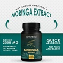 AMBROSIAL - MORINGA 2000MG - 120PCS