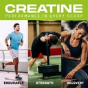 APPLIED NUTRITION - CREATINE CREAPURE - 250G