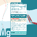 ORGANIC NATION - MAGNESIUM MALATE - 60PCS 