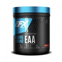 EFX SPORTS - EAA - 213G