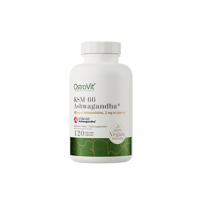 OSTROVIT - KSM66 ASHWAGANDHA - 120PCS